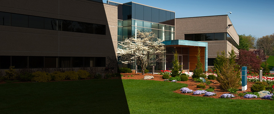 Takoma Park Landscapers